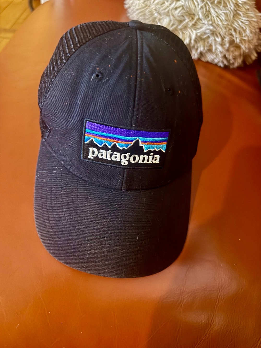Patagonia trucker hat